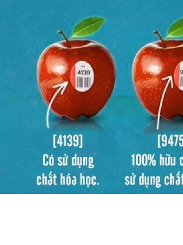   Bạn Biết Gì Về Thực Phẩm Biến Đổi Gen?