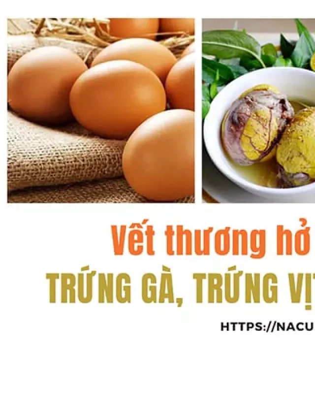   Bị vết thương hở có nên ăn trứng gà, trứng vịt, trứng vịt lộn được không?