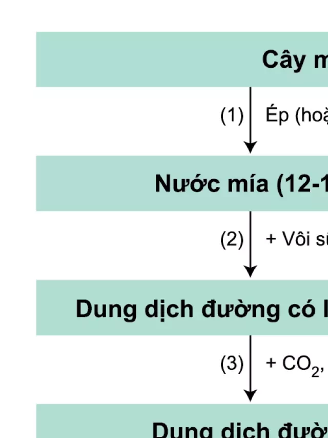   Củng cố kiến thức