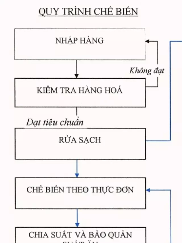   Quy trình chế biến thực phẩm - Bí quyết đảm bảo an toàn và chất lượng