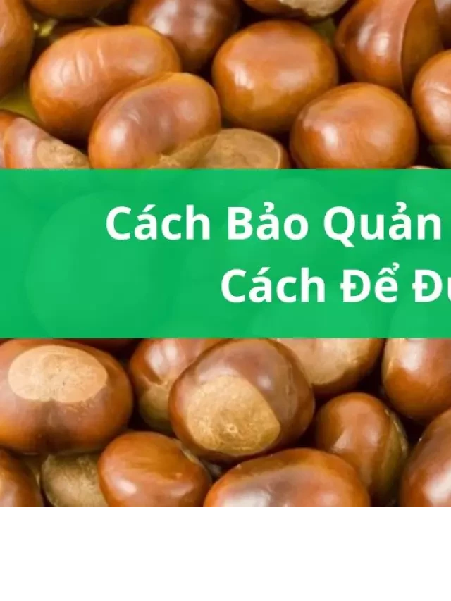   Cách Bảo Quản Hạt Dẻ Đúng Cách Để Được Lâu Không Lo Hỏng