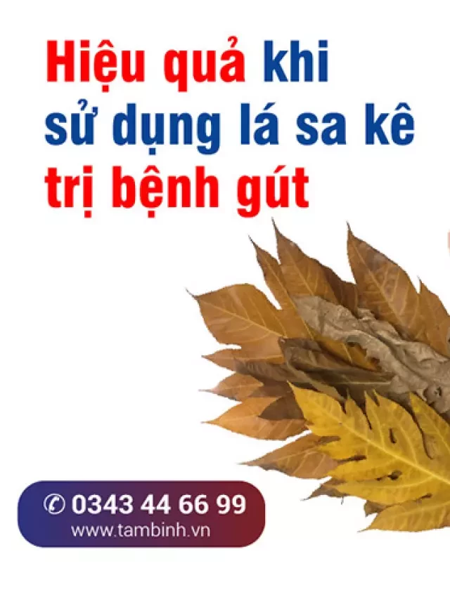   Lá Sake Chữa Bệnh Gút: Thực Hư và 6 Cách Áp Dụng