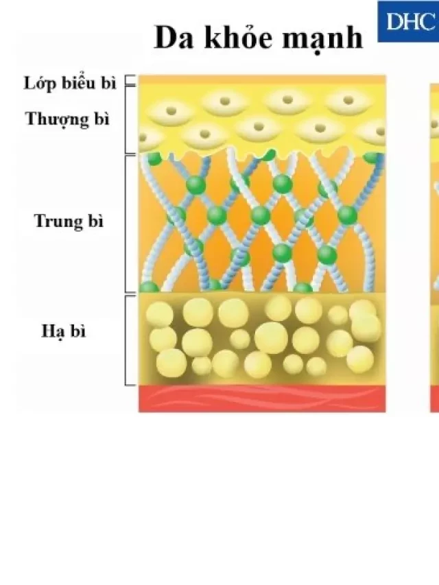   Tư vấn: Uống collagen khi nào thì tốt nhất cho sức khỏe và làn da?