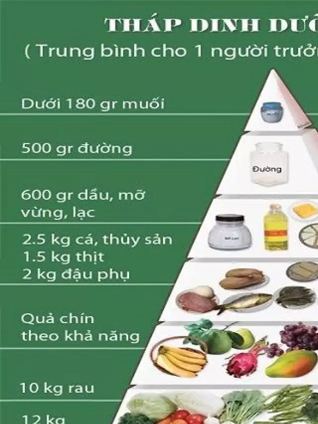   Ăn uống đủ chất - Cách xây dựng một chế độ ăn uống khoa học và tốt cho sức khỏe