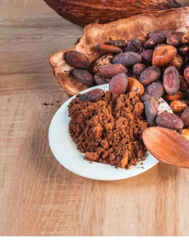   Uống cacao có nóng không? Những điều cần lưu ý khi sử dụng bột cacao