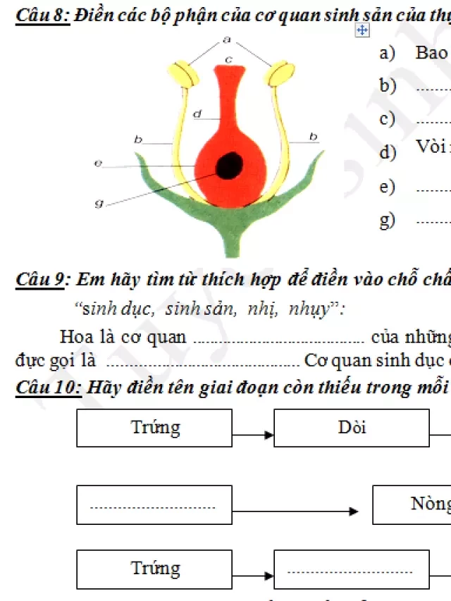   Đề thi kì 2 lớp 5 môn Khoa học 2018 - TH Trần Thới 2