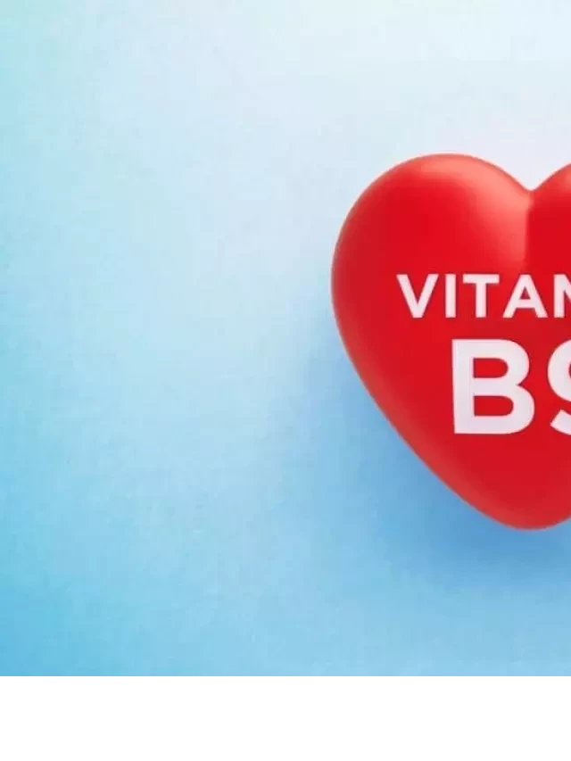   Folate (vitamin B9) - Những thực phẩm giàu folate mà bạn nên biết