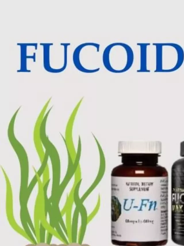   Fucoidan Mỹ có tốt không? Có nên dùng không?