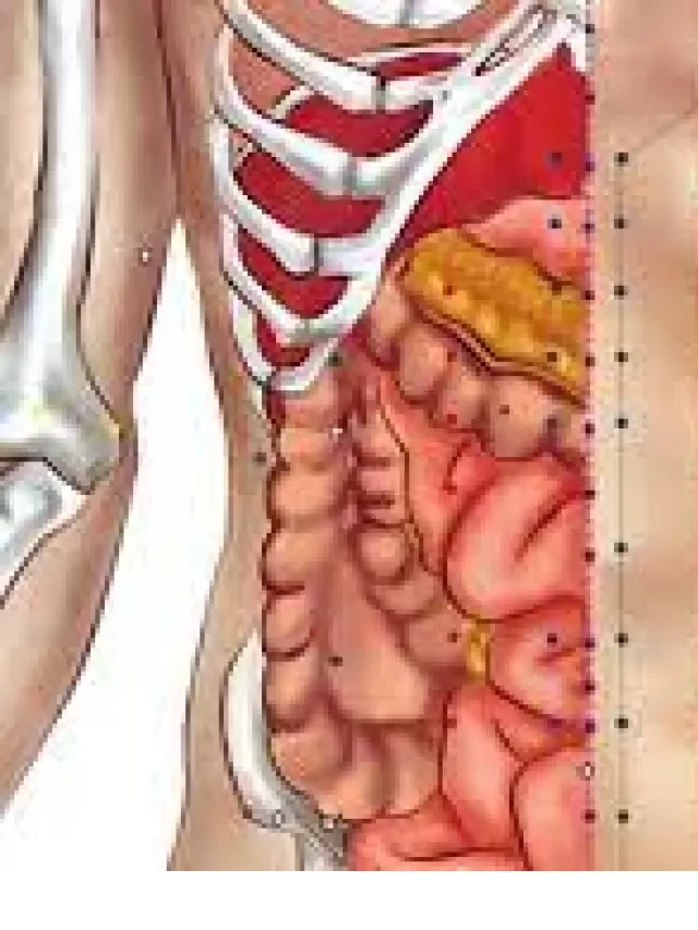   Huyệt Nhật Nguyệt: Bí quyết giữ gìn sức khỏe