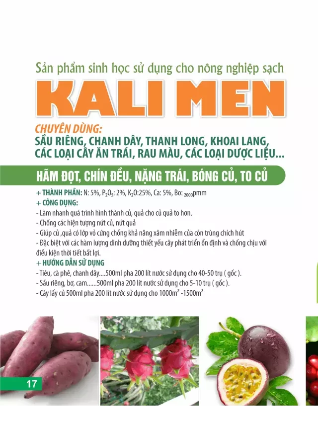   Kali và các loại Kali phổ biến