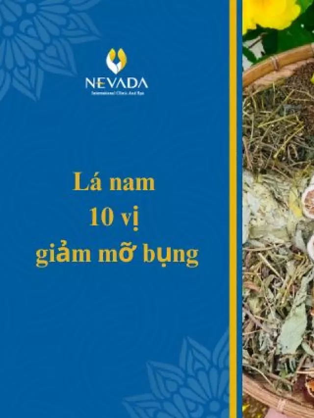   Nước lá nam 10 vị giảm mỡ bụng: Công dụng, cách sử dụng và đánh giá chuyên gia