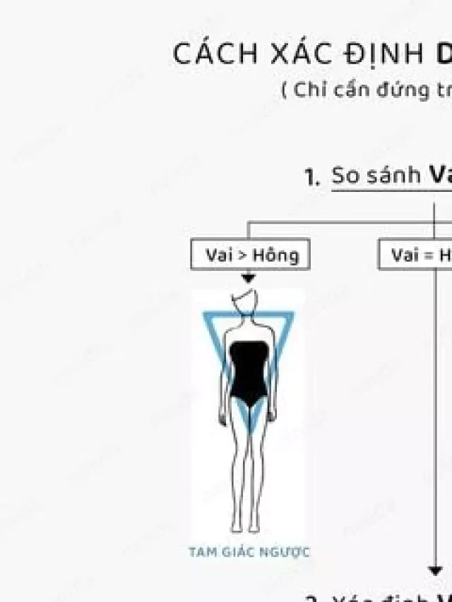   Cách Xác Định Dáng Đơn Giản