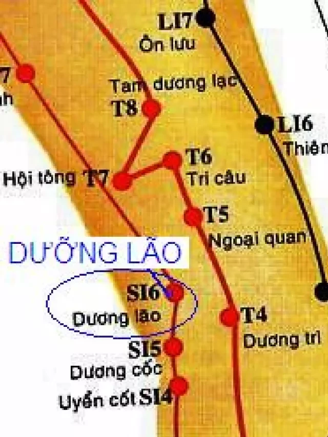   Huyệt Dưỡng Lão: Khám phá Vị Trí, Tác Dụng và Phương Pháp Châm Cứu