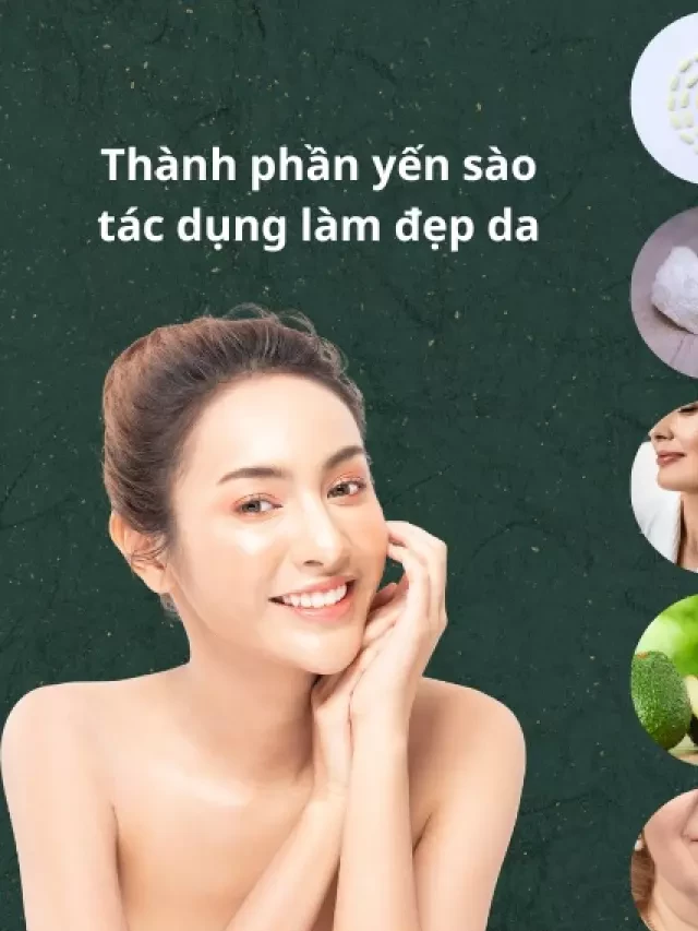   6 công dụng tuyệt vời của yến sào cho làn da hoàn hảo