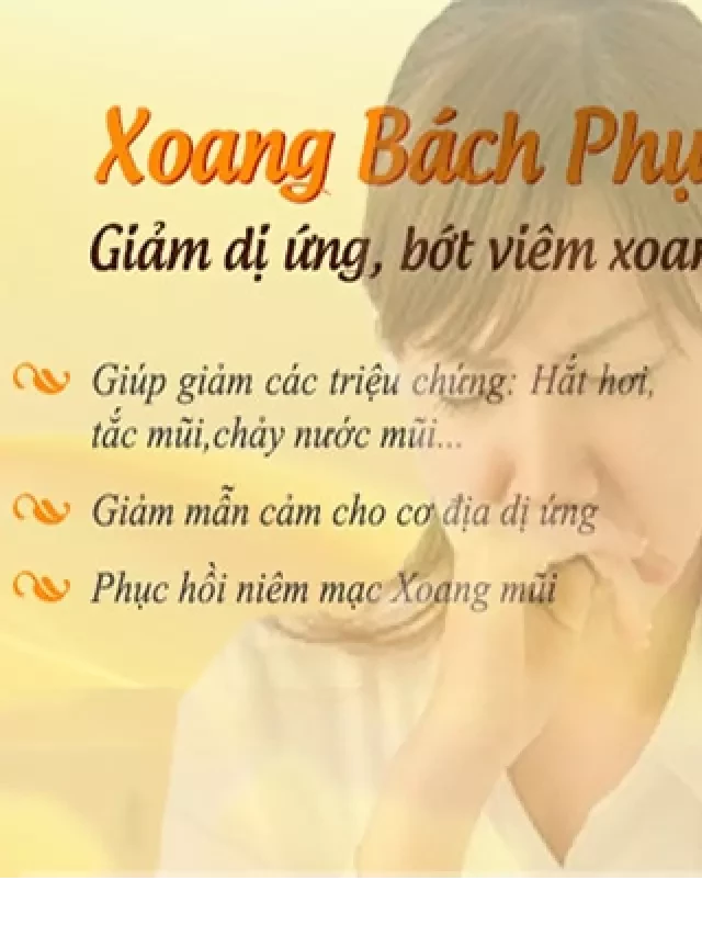   Một Hộp Xoang Bách Phục Có Bao Nhiêu Viên?