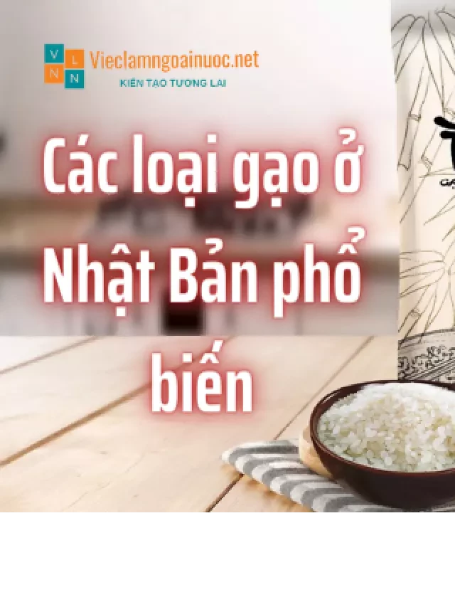   Các loại gạo Nhật Bản phổ biến loại nào ngon nhất và giá thế nào?