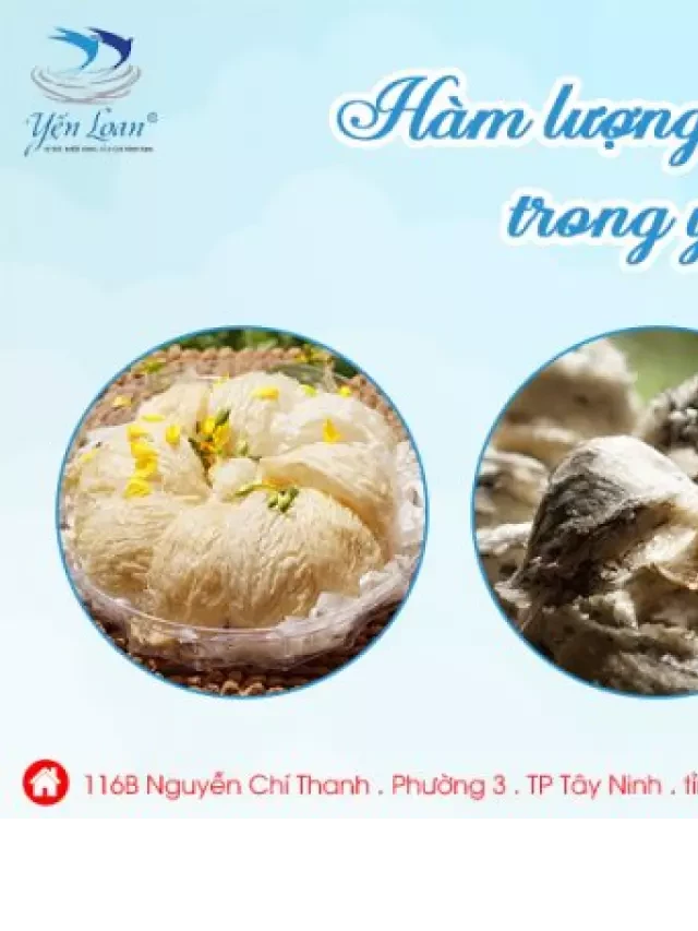   Giải đáp một số thắc mắc ăn yến sào bao lâu thì có tác dụng