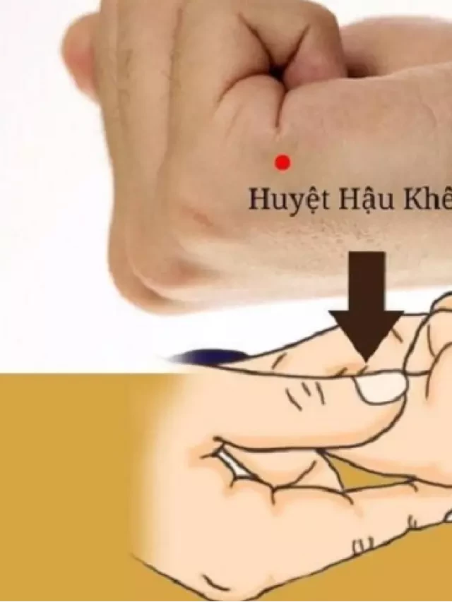   Huyệt Hậu Khê: Hiểu và Tác Động Đúng Cách