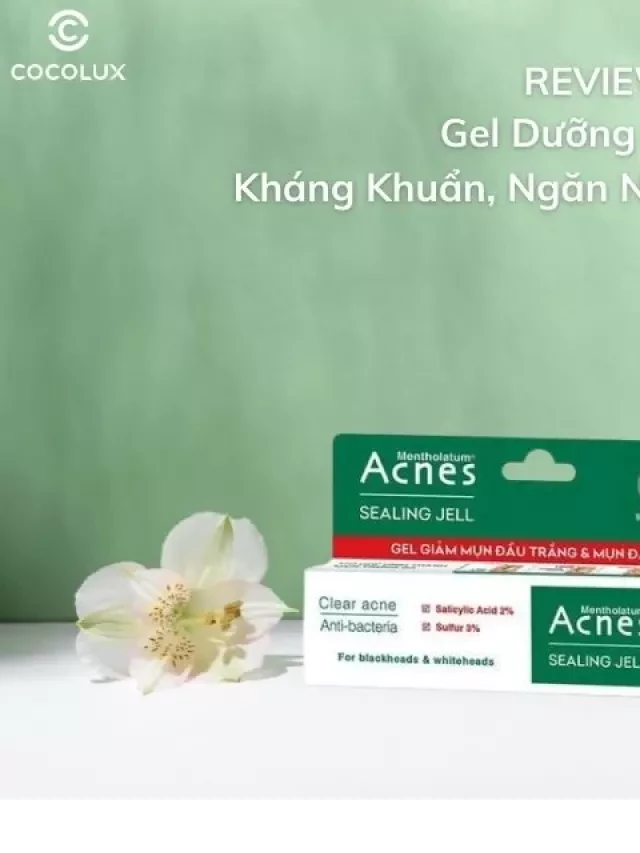   Đánh giá Gel Dưỡng Acnes Kháng Khuẩn, Ngăn Ngừa và Giảm Mụn