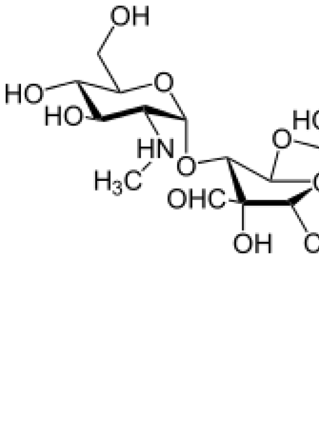   Streptomycin: Chất kháng sinh chống vi khuẩn mạnh mẽ