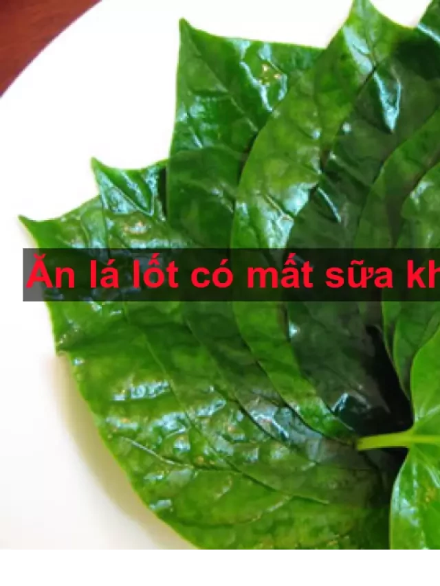   Ăn lá lốt: Có mất sữa không, có tốt hay không?