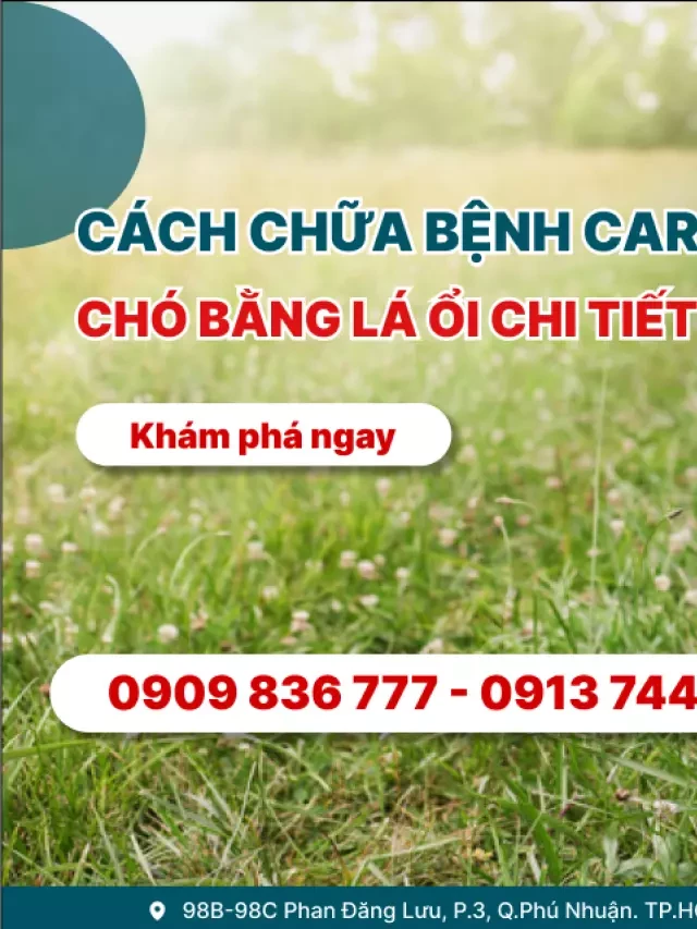   Cách chữa bệnh Care ở chó bằng lá ổi - Một phương pháp đơn giản và hiệu quả