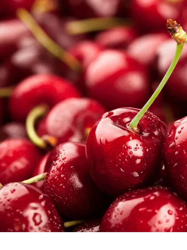   Cherry sấy có tốt cho sức khỏe như ăn tươi? Làm sao để chế biến nhanh