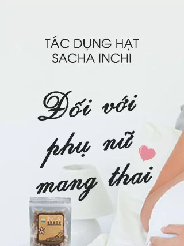   Tác dụng hạt sachi đối với phụ nữ mang thai