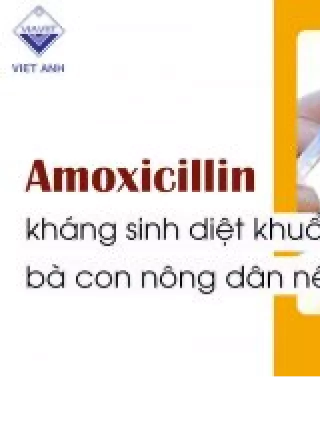   Amoxicillin - Kháng sinh diệt khuẩn trong thú y bà con nông dân nên biết