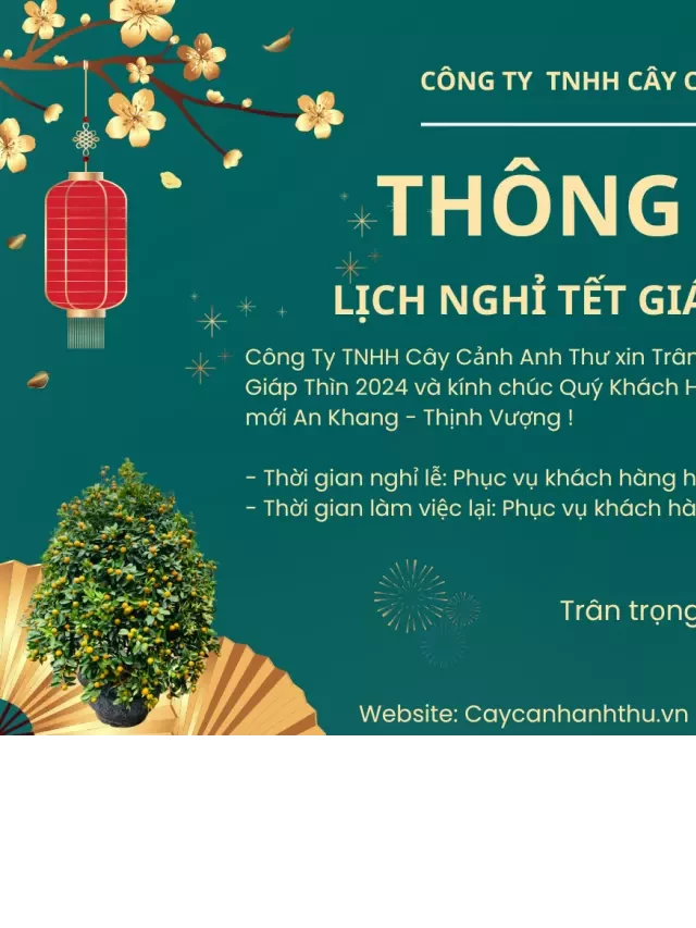   Cách diệt kiến cho hoa lan hồ điệp tại nhà cực kỳ hiệu quả