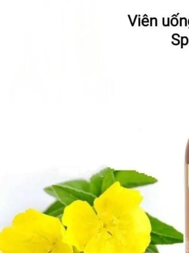   Tinh dầu hoa anh thảo Spring Leaf Evening Primrose Oil 1000mg của Úc: Sức khỏe và vẻ đẹp cho phụ nữ