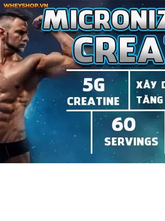   Creatine Tăng Sức Mạnh Tốt Nhất: Top 10 Sản Phẩm Nổi Bật 2023