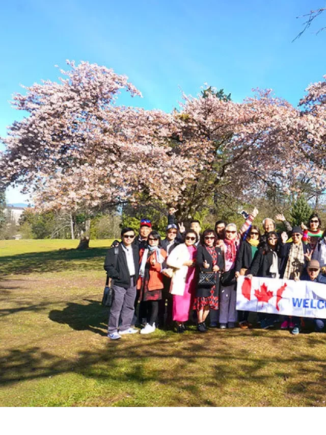   Du lịch Canada mùa nào đẹp nhất - Những trải nghiệm tuyệt vời đang chờ đón bạn