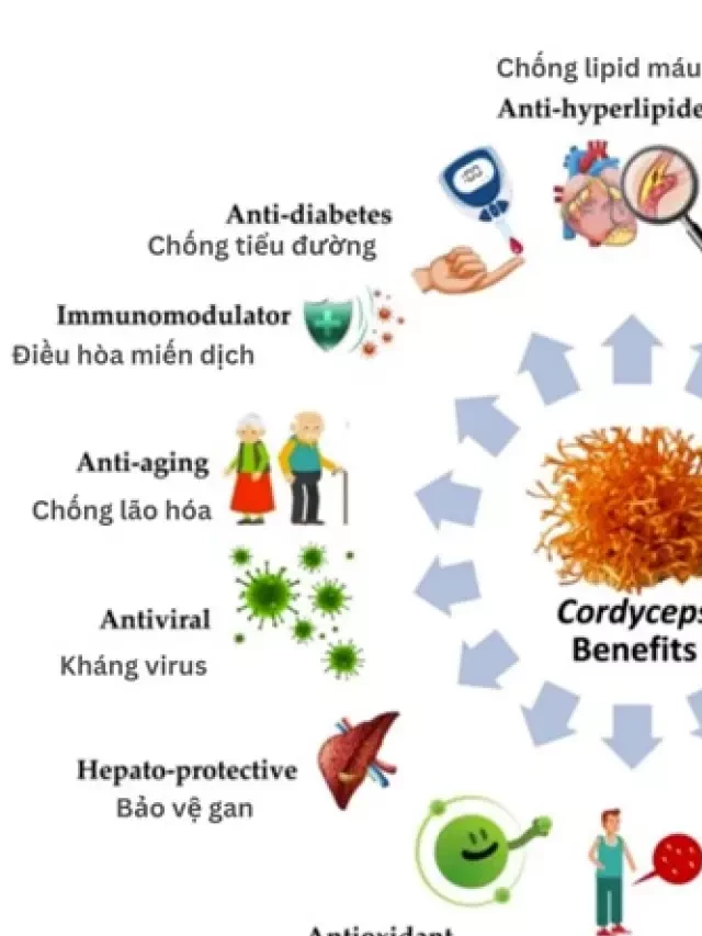   Giá trị dinh dưỡng và dược liệu của đông trùng hạ thảo nuôi trồng Cordyceps militaris