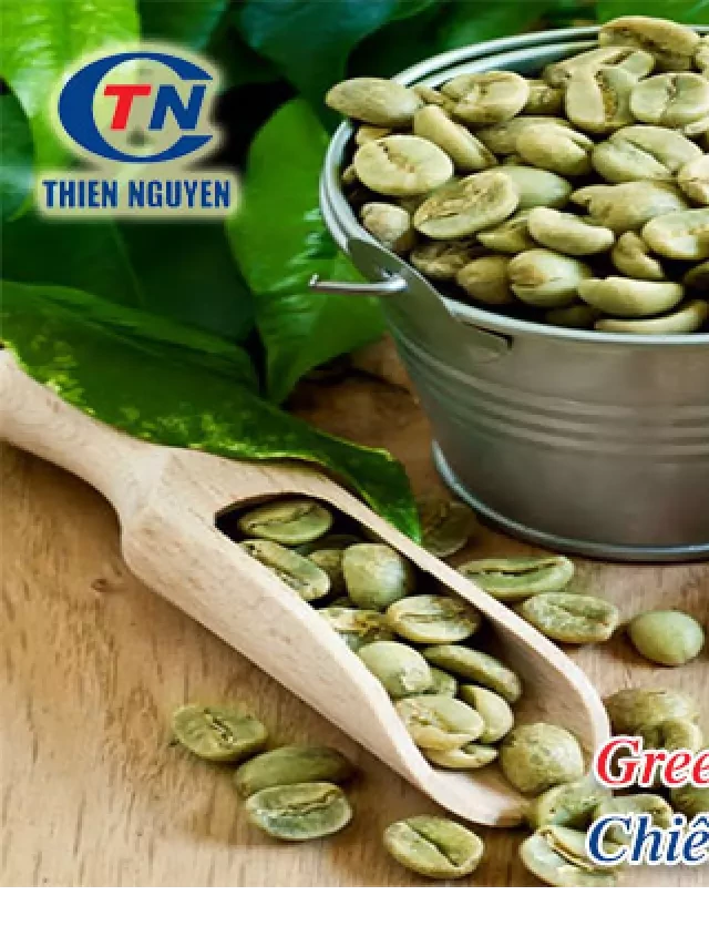   Green coffee beans extract- Tinh chất chiết xuất từ hạt cà phê xanh