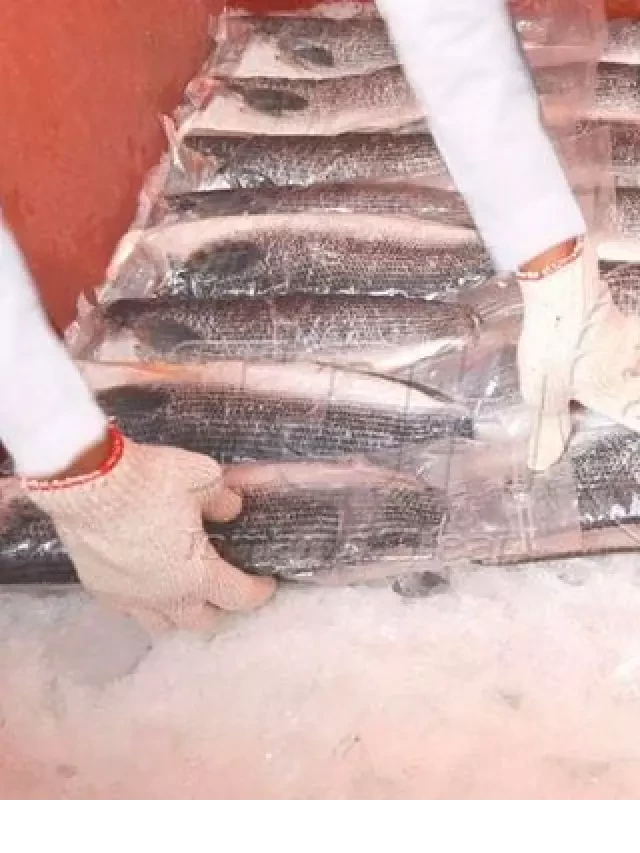   Trứng Cá Lóc Bông TOH fish: Sản phẩm sạch đến từ nền tảng vững chắc