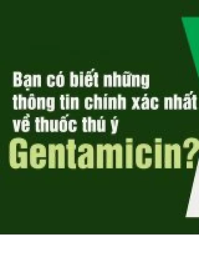   Thông tin mới nhất về thuốc thú y Gentamicin, bạn đã biết?