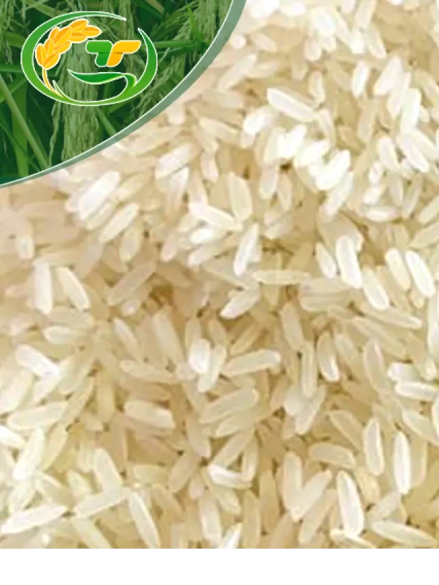   Hương Lài Rice: Gạo thơm ngon từ Vựa Gạo Thành Tâm TP.HCM