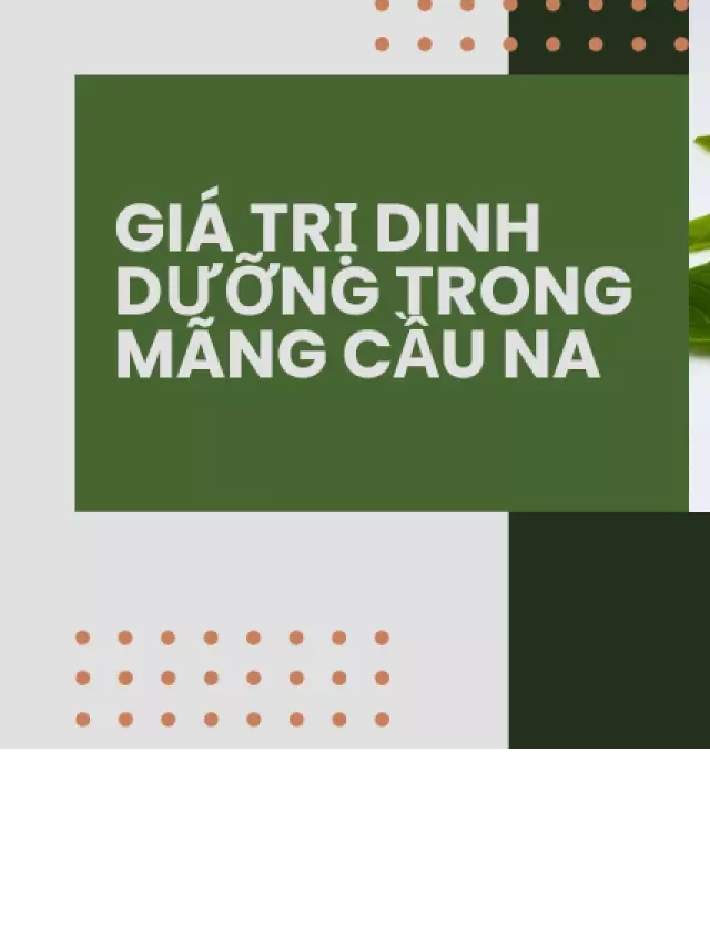   Bầu ăn mãng cầu na có tốt không? Ăn bao nhiêu thì đủ?