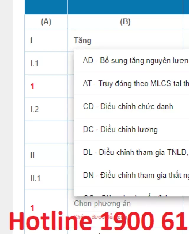   Phương án Tăng nguyên lương được hiểu như thế nào?