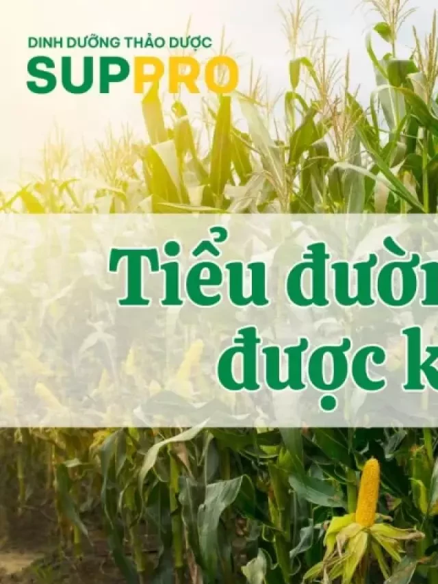   Chuyên gia giải đáp: Tiểu đường có thể ăn ngô (bắp) không?