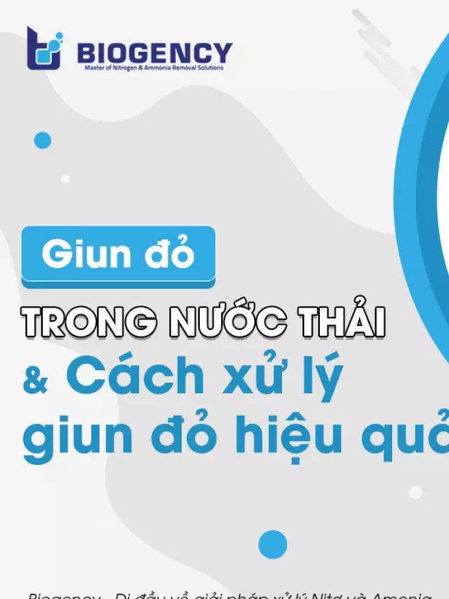   Giun đỏ trong nước thải: Tìm hiểu về hiệu quả xử lý