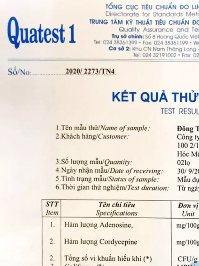   Đông trùng hạ thảo: Sức sống mới trong quá trình chế biến