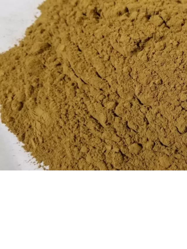   Thành Phần Của Bentonite: Ứng Dụng Đa Dạng Trong Công Nghiệp