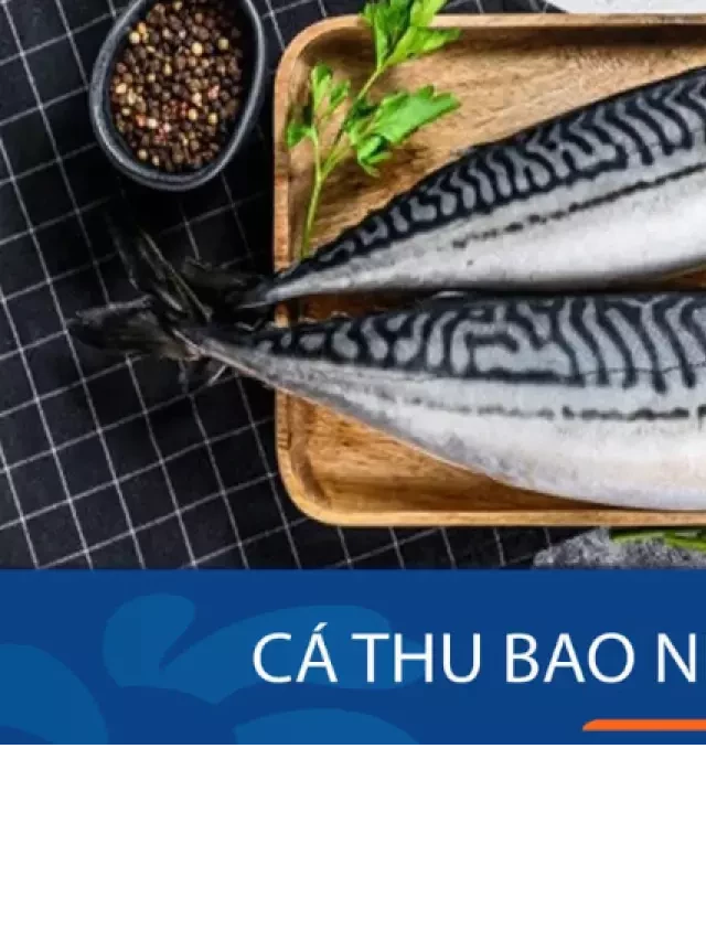   100g cá thu bao nhiêu calo? Ăn cá thu có béo (mập), có tốt không?