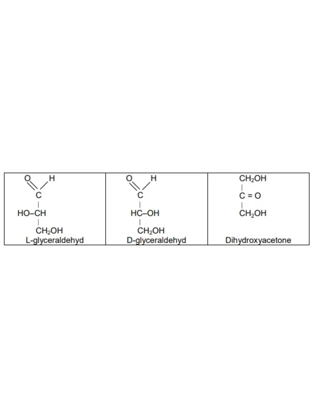   Monosaccharide: Khám phá tính chất đặc trưng và ý nghĩa