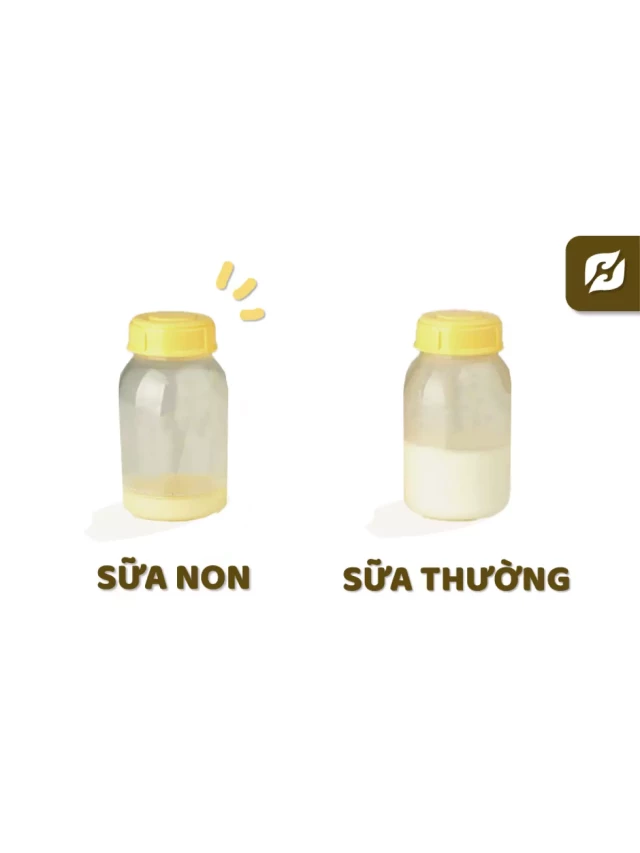   Top 4 sữa non cho người lớn tốt nhất 2024 được chuyên gia khuyên dùng