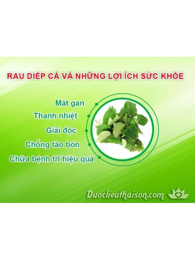   22 Tác dụng chữa bệnh không ngờ của Rau Diếp Cá (Giấp cá)