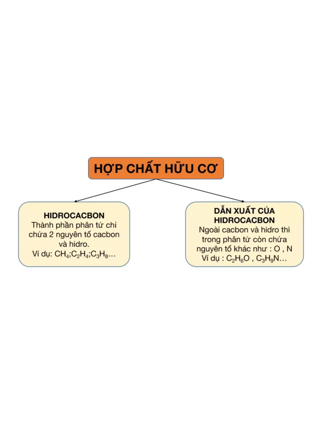   Hóa Hữu Cơ: Các Khái Niệm Cơ Bản Về Hợp Chất Hữu Cơ Và Hiđrocacbon