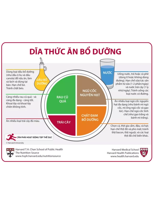   Dĩa Thức Ăn Bổ Dưỡng: Xây dựng Chế độ ăn uống Đa dạng và Bổ dưỡng